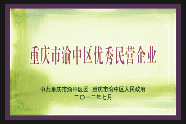 重慶市渝中區優秀民營企業